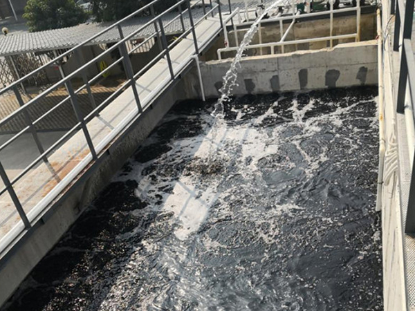 廣東食品污水（氨氮廢水）處理方案
